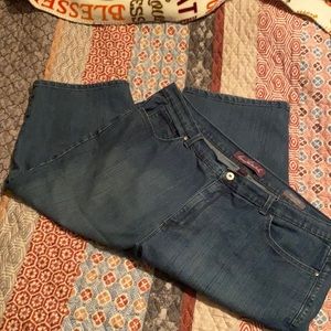 Gloria Vanderbilt Amanda Capri 20W